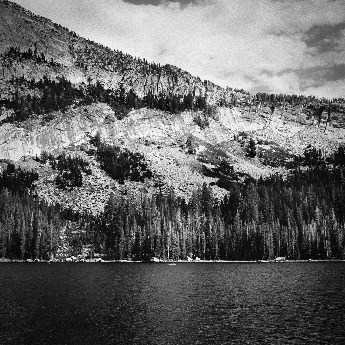 Shifting Landscapes