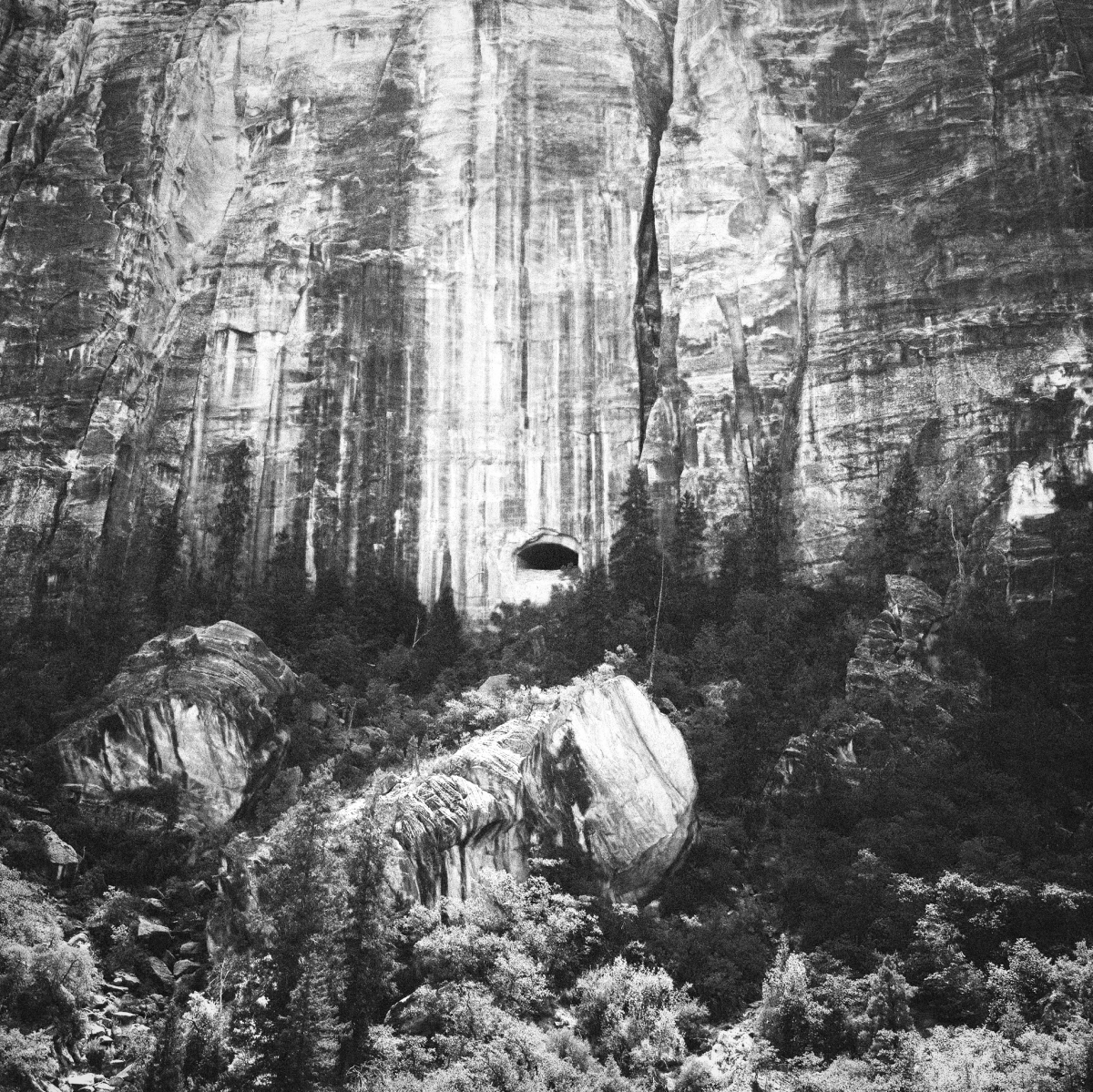 Shifting Landscapes