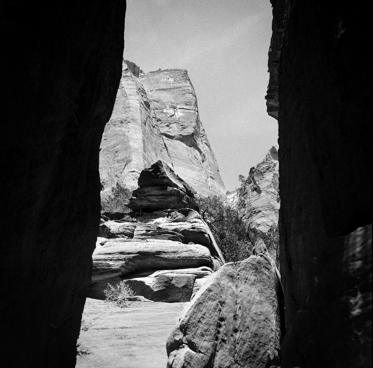 Shifting Landscapes