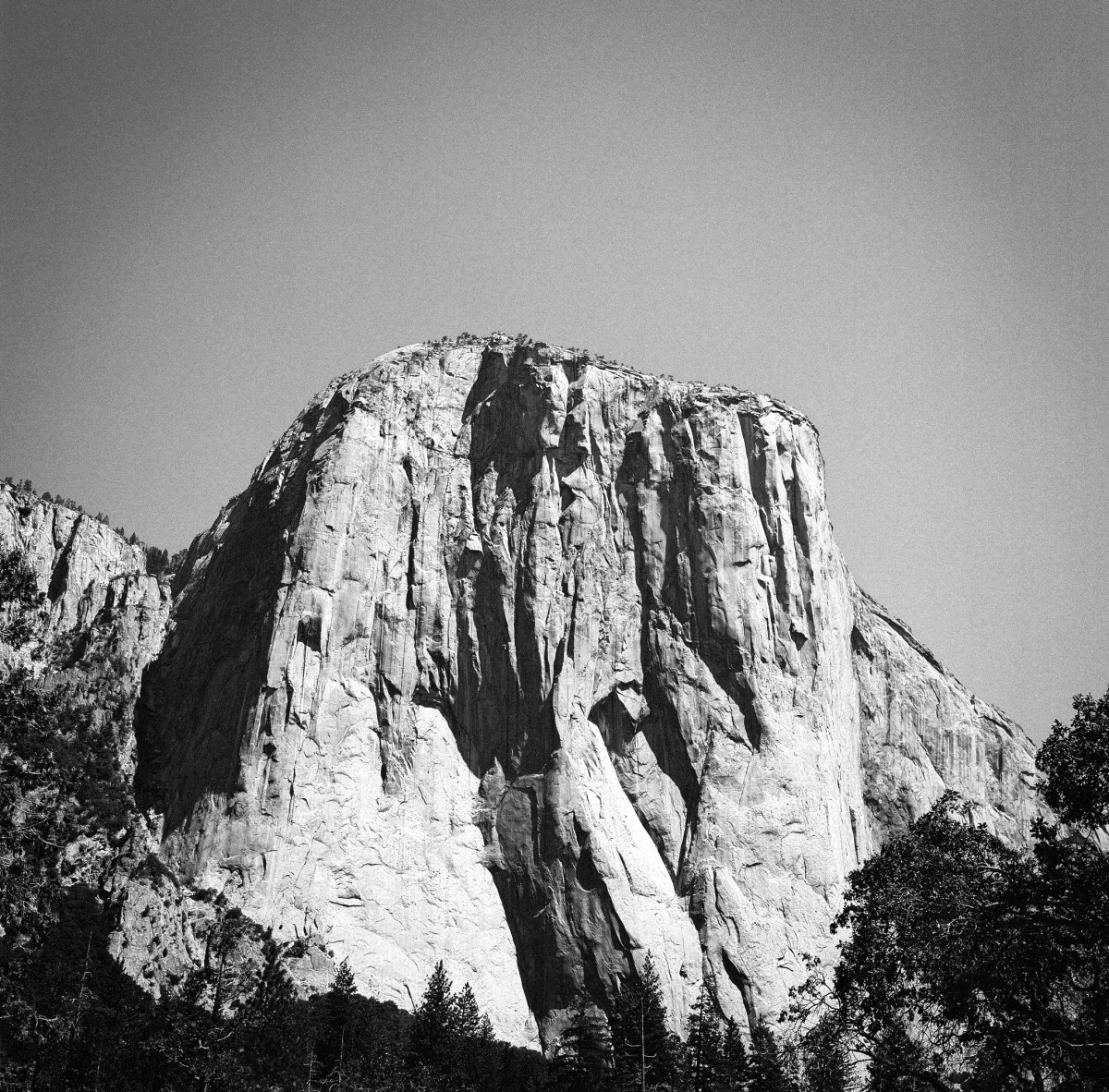 Shifting Landscapes