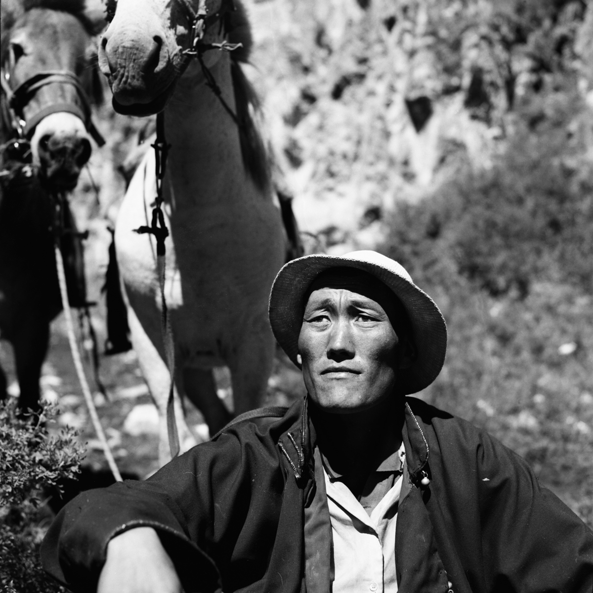 Mongolia