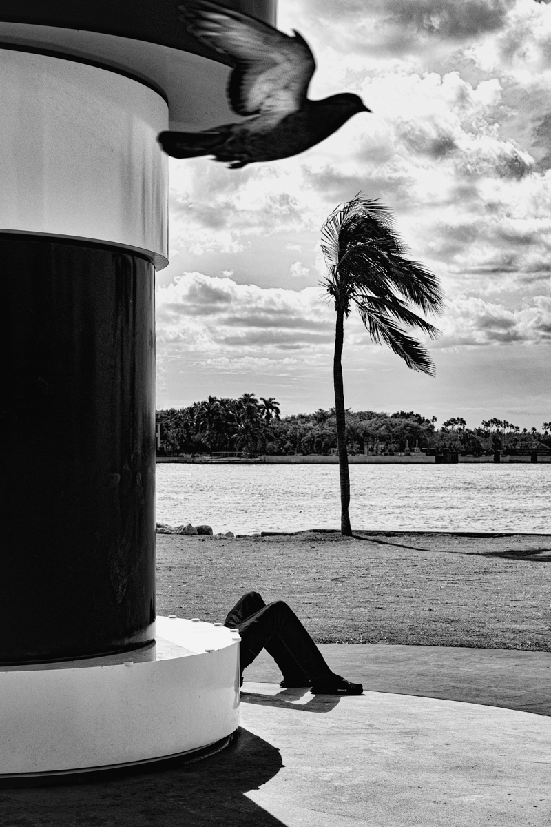 Miami Coincidence