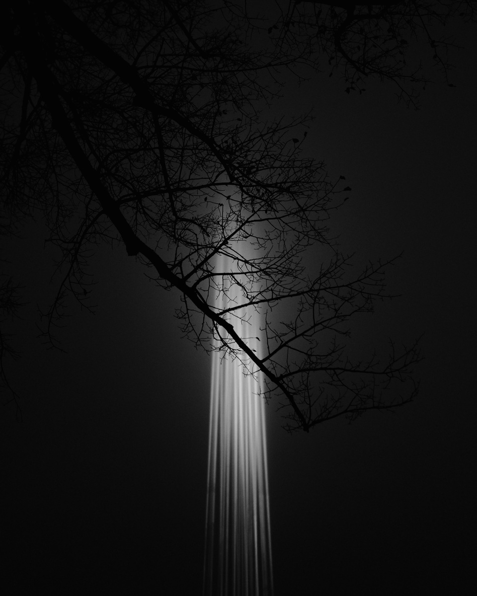 Lights