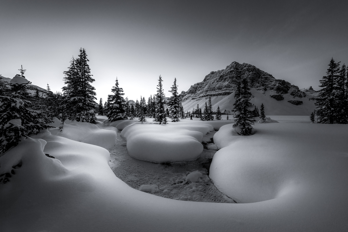 Echoes of the High Winter