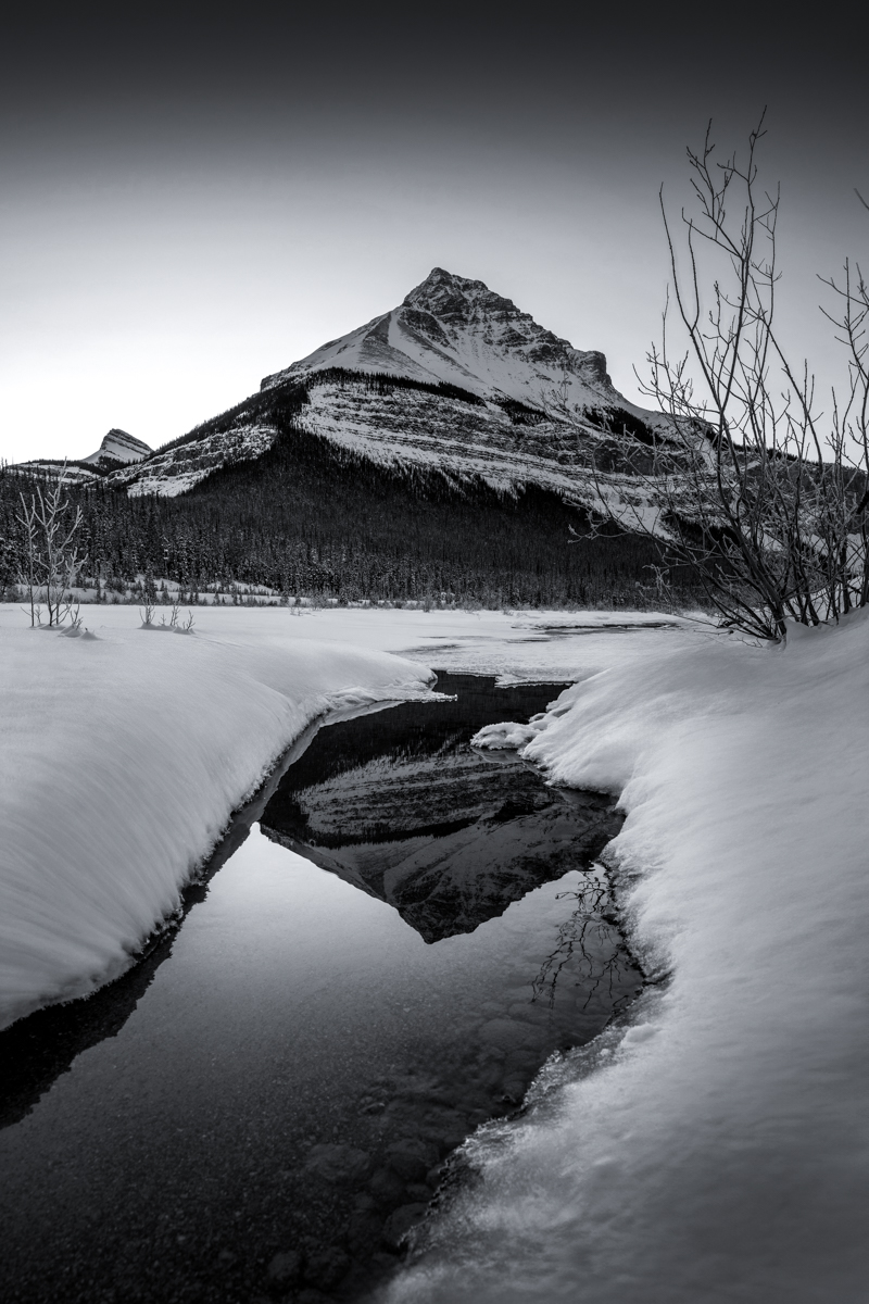 Echoes of the High Winter