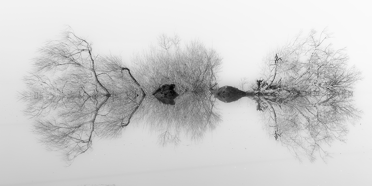 Shades of Water