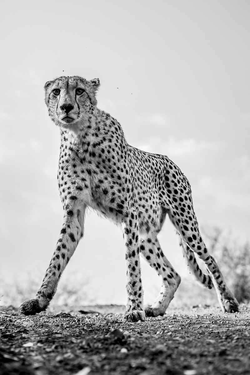 Spots everywhere