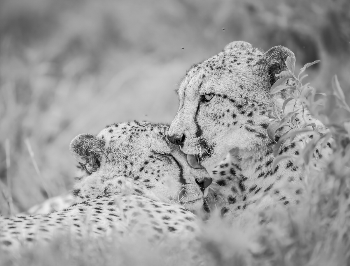 Spots everywhere