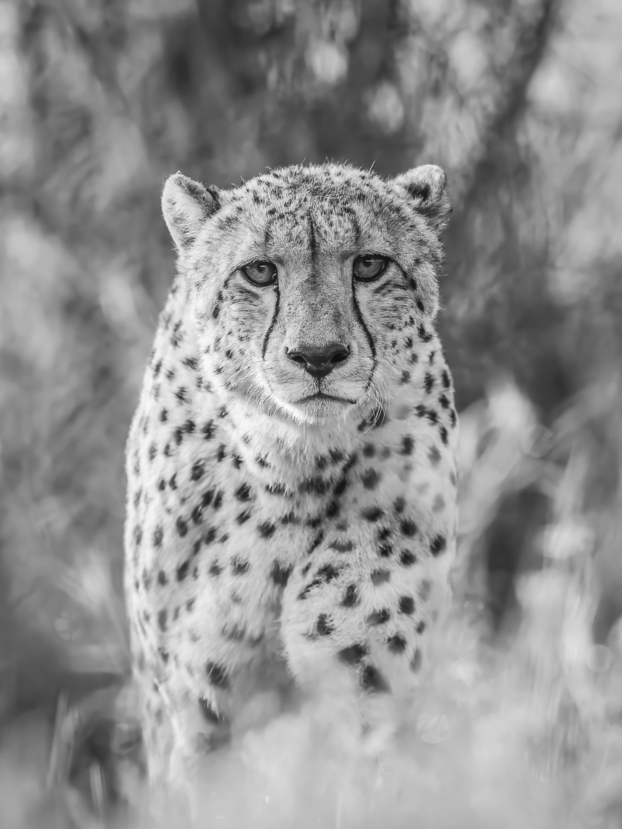 Spots everywhere