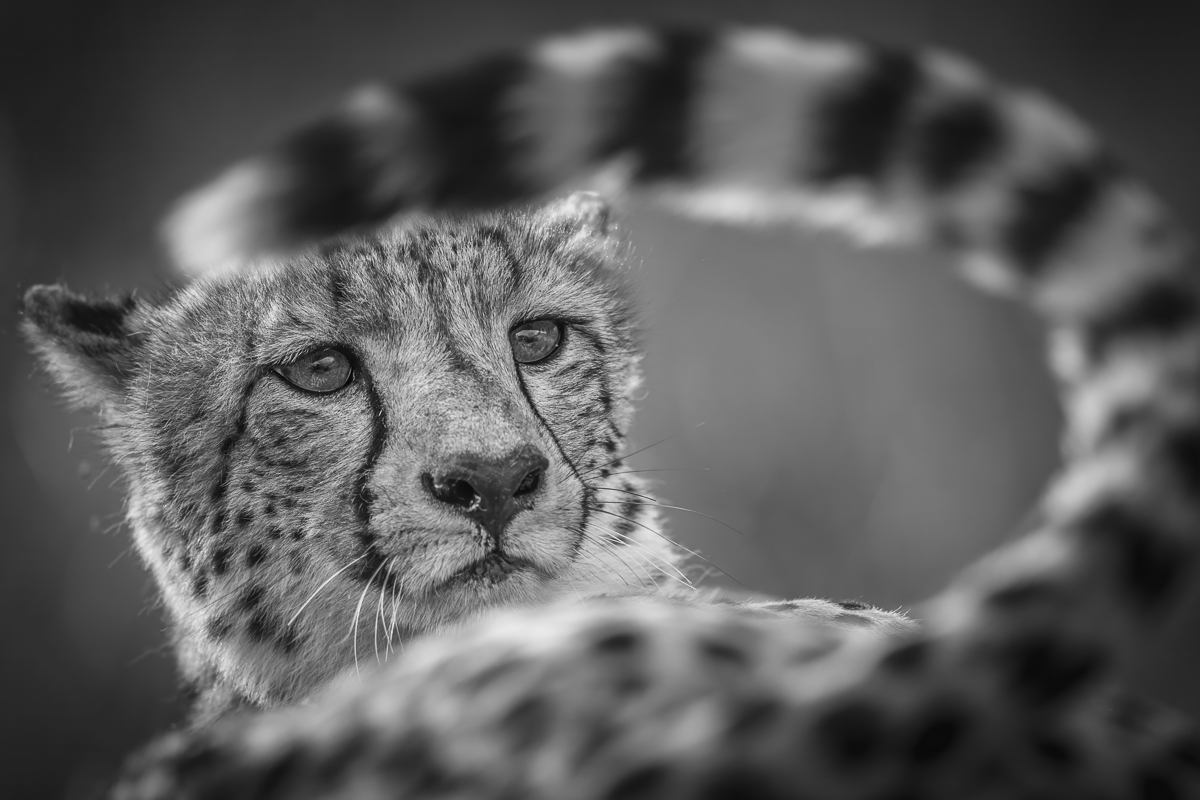 Spots everywhere