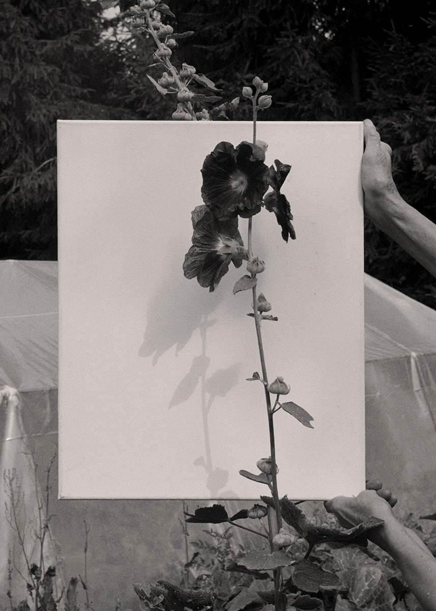 In The Garden