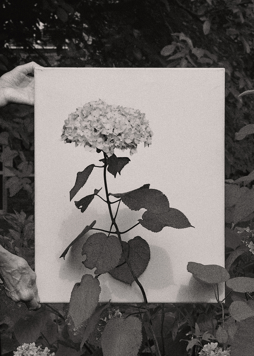 In The Garden