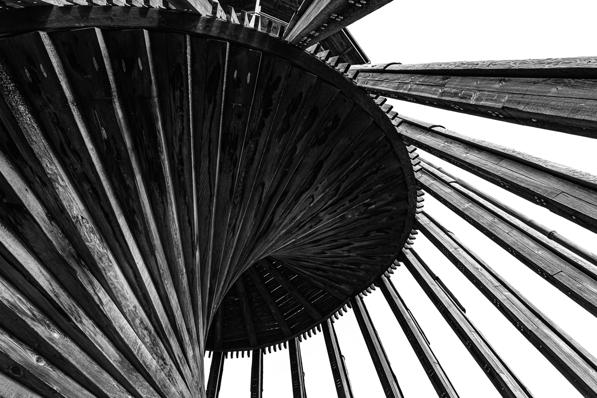 Disorientation