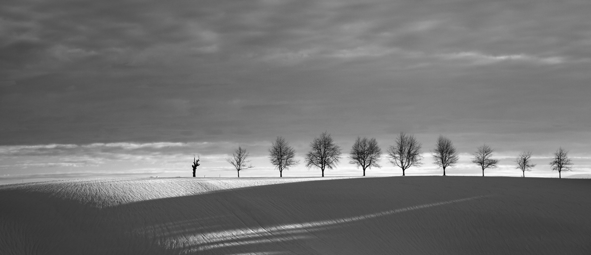 From shadow to light.