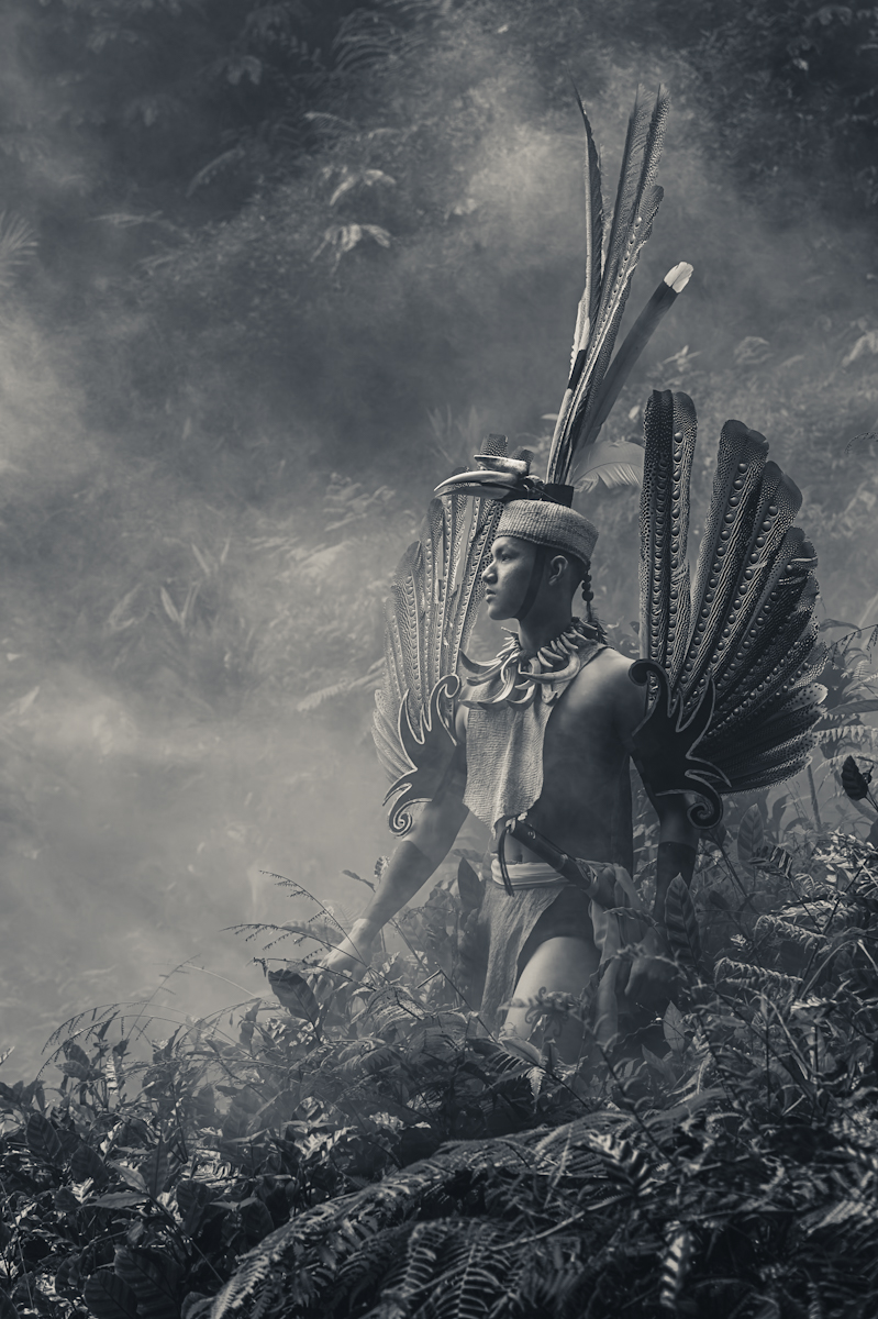 Guardians of the Hornbill