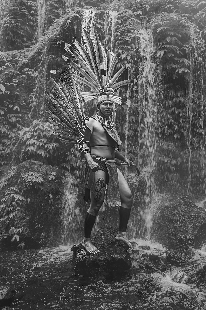 Guardians of the Hornbill