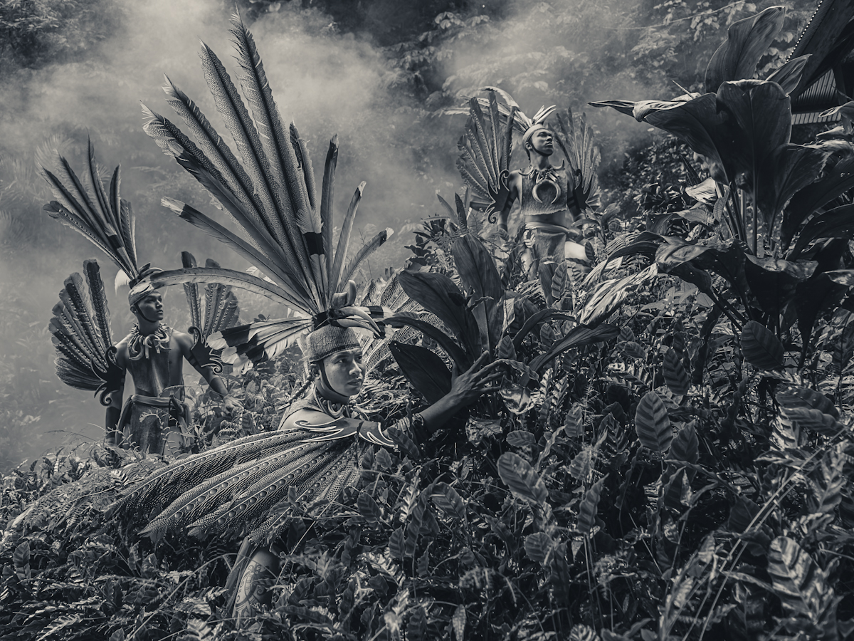 Guardians of the Hornbill
