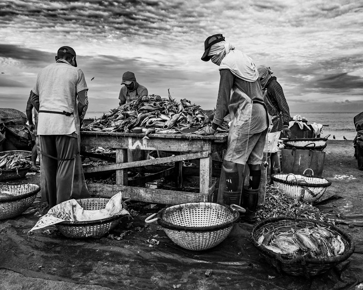 Negombo Fish Drying Grounds