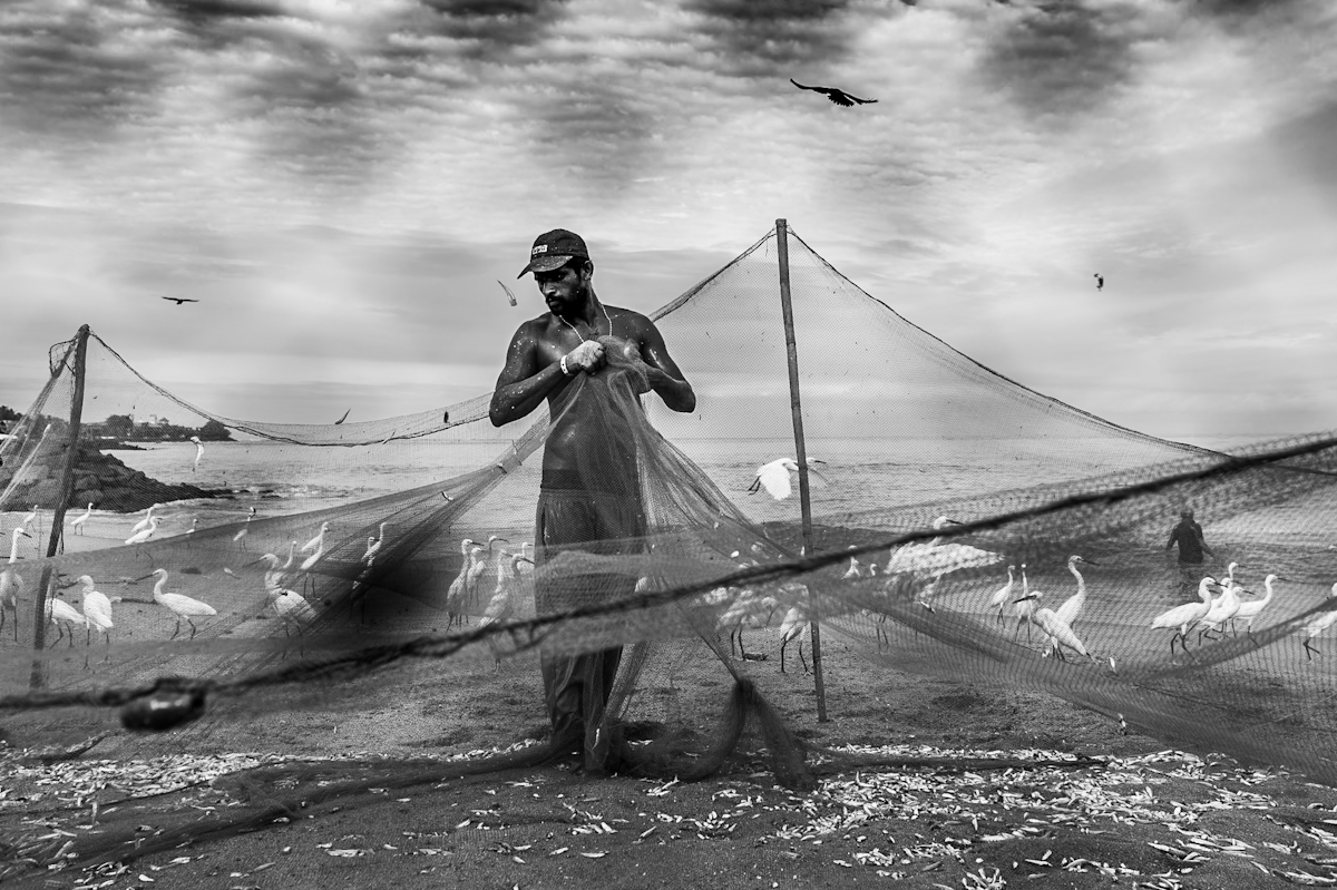 Negombo Fish Drying Grounds
