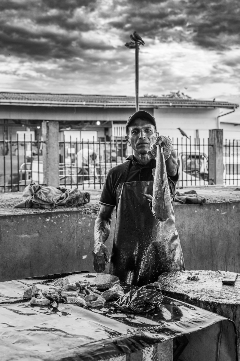  Faces from Negombo Harbor