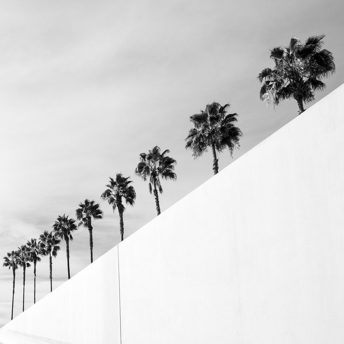 L.A. Minimal