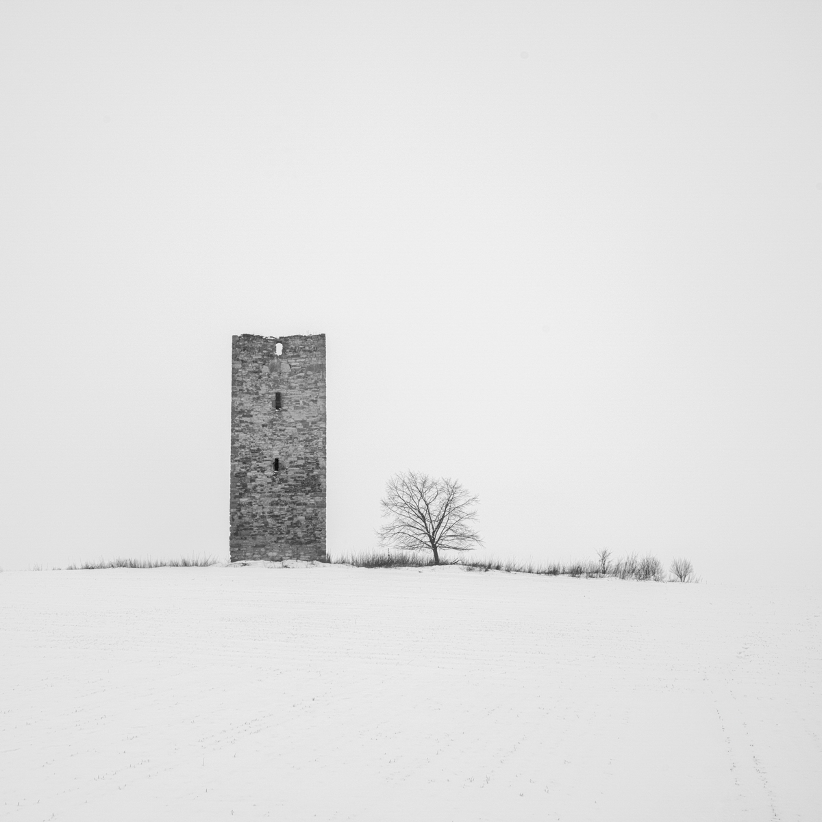 white space