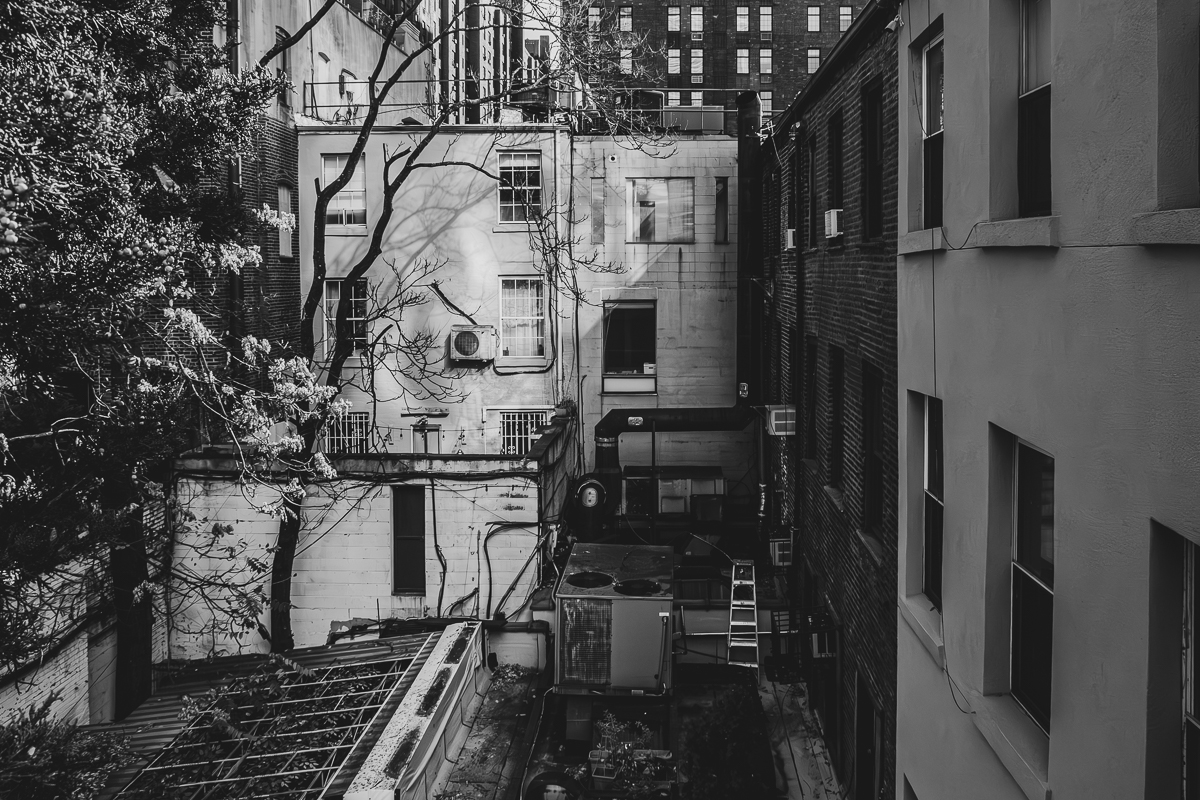 Andropy/New York