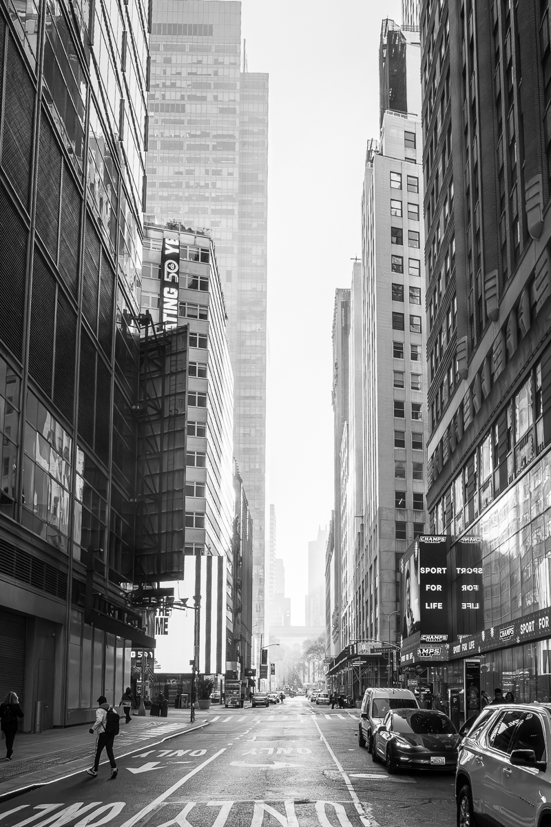 Andropy/New York