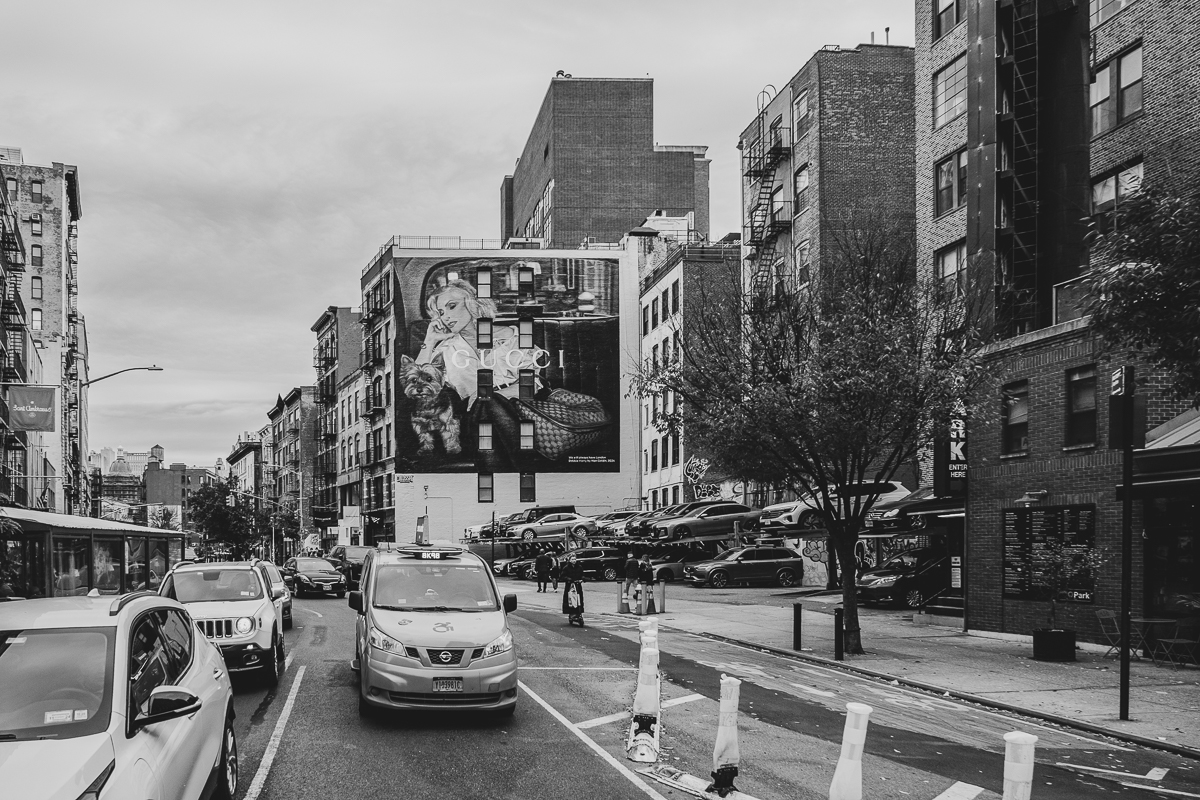 Andropy/New York