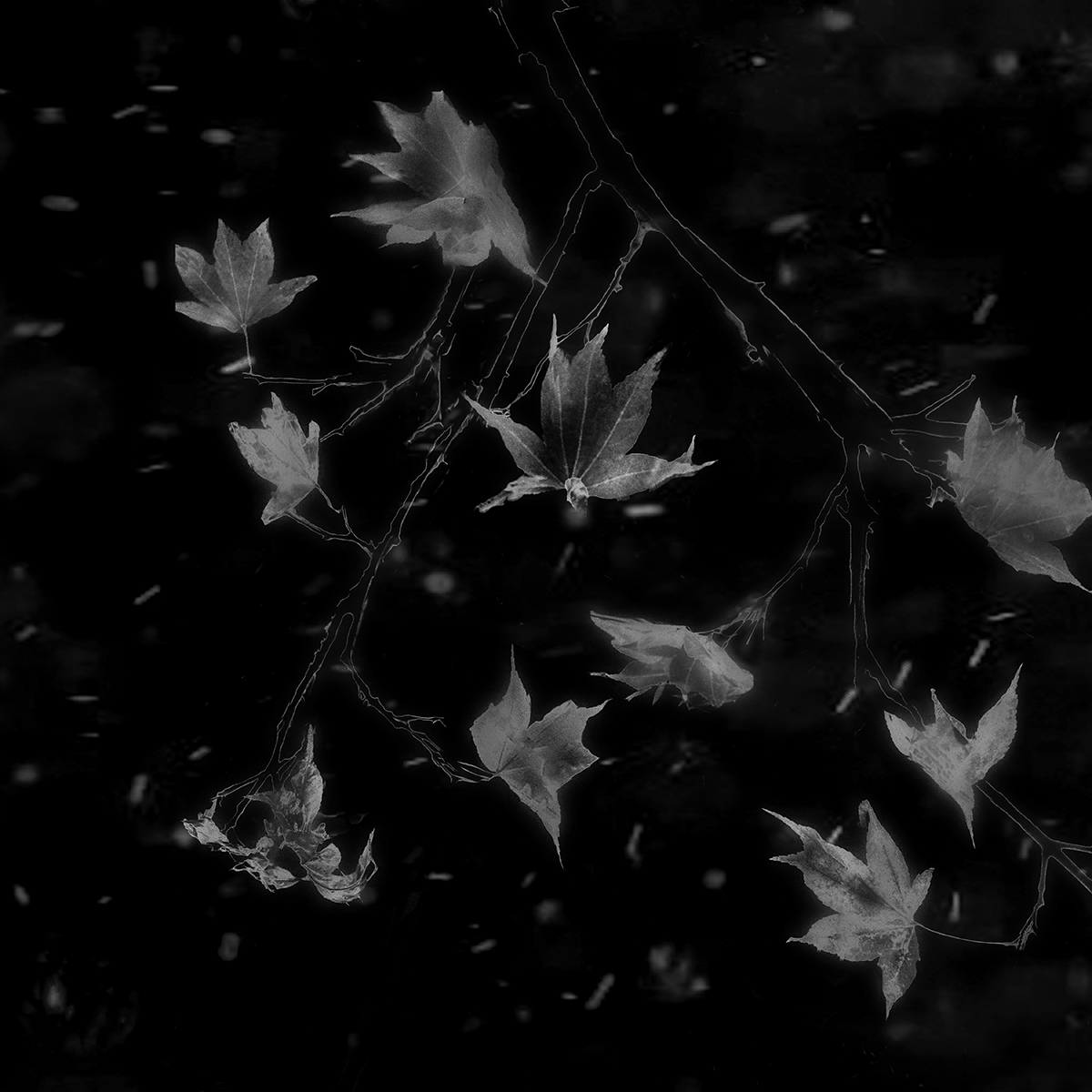 DreamWorld