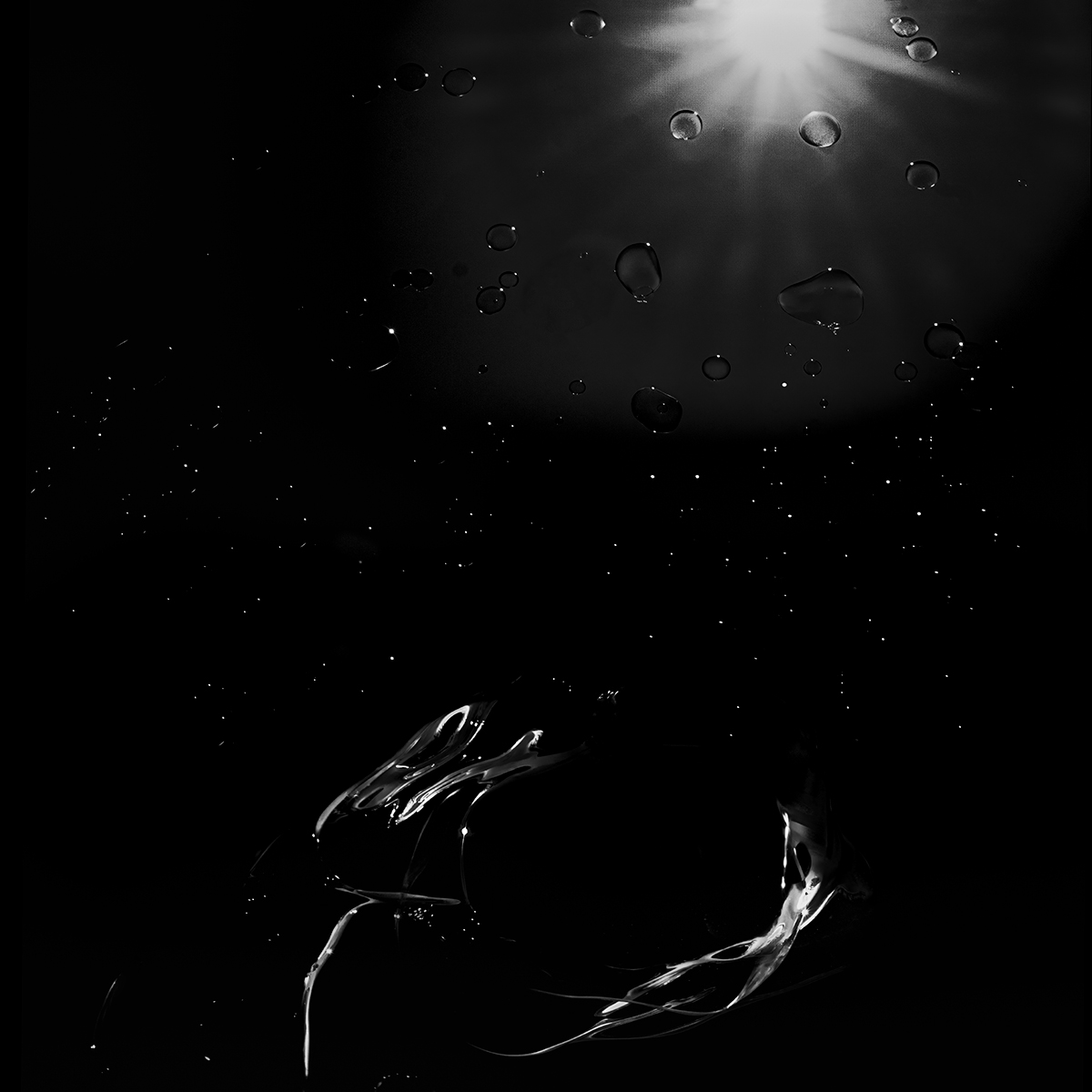 DreamWorld