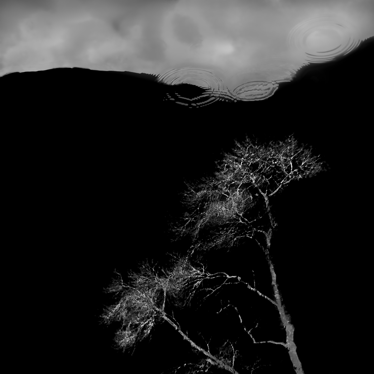 DreamWorld
