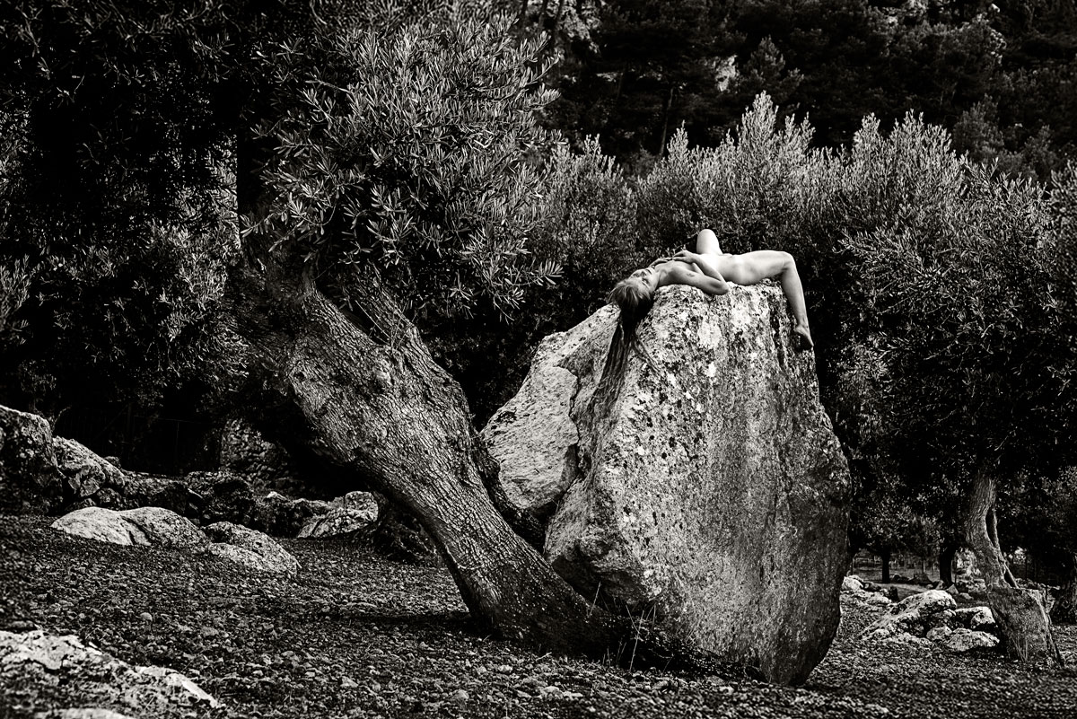 The Creatures of the Olive Trees