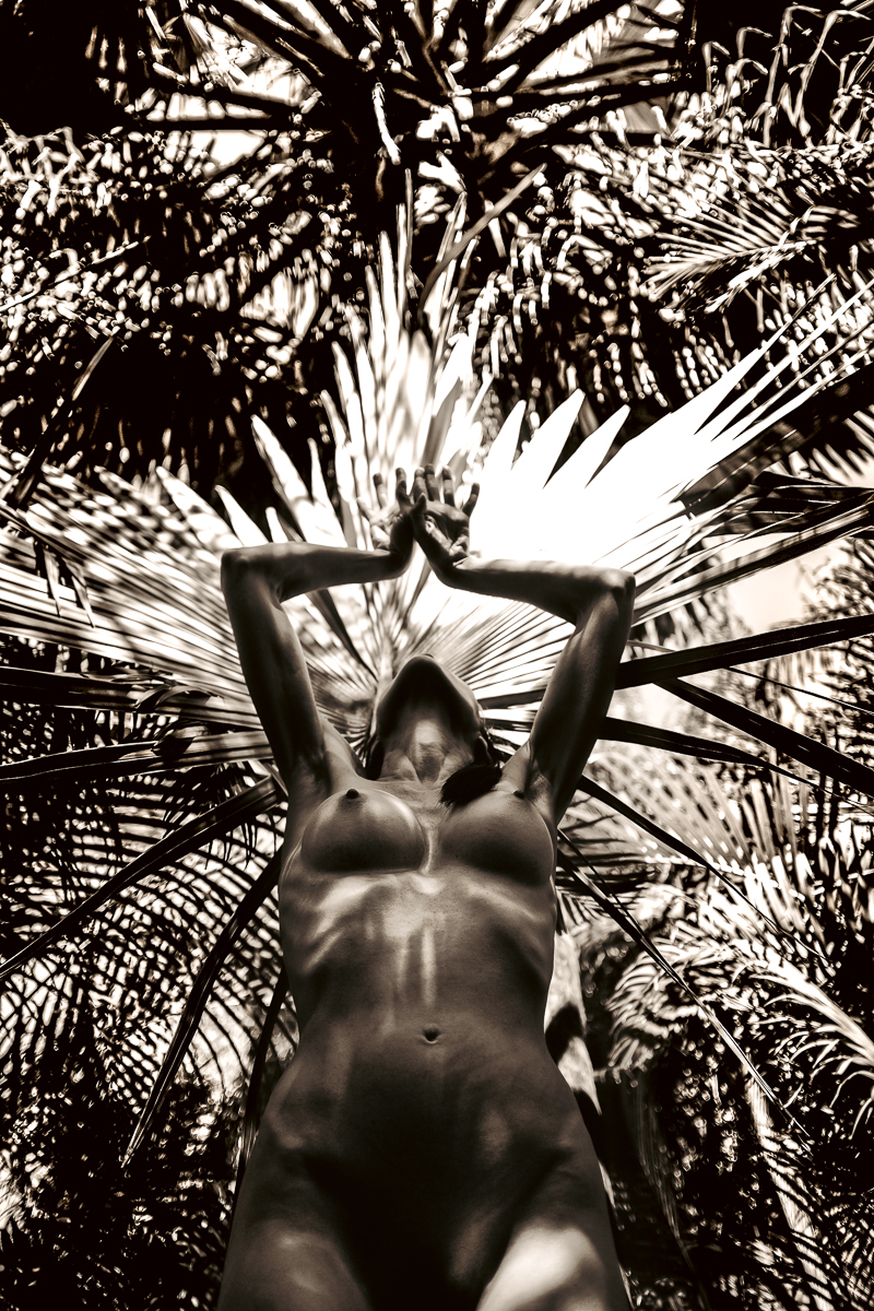 The Headwoman