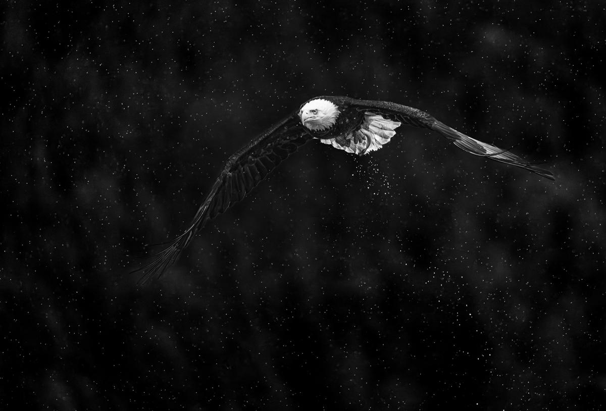 Between the Drops