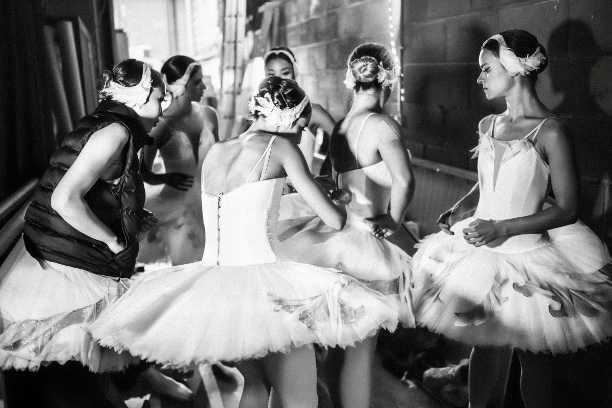From the Series ‘Swan’ 