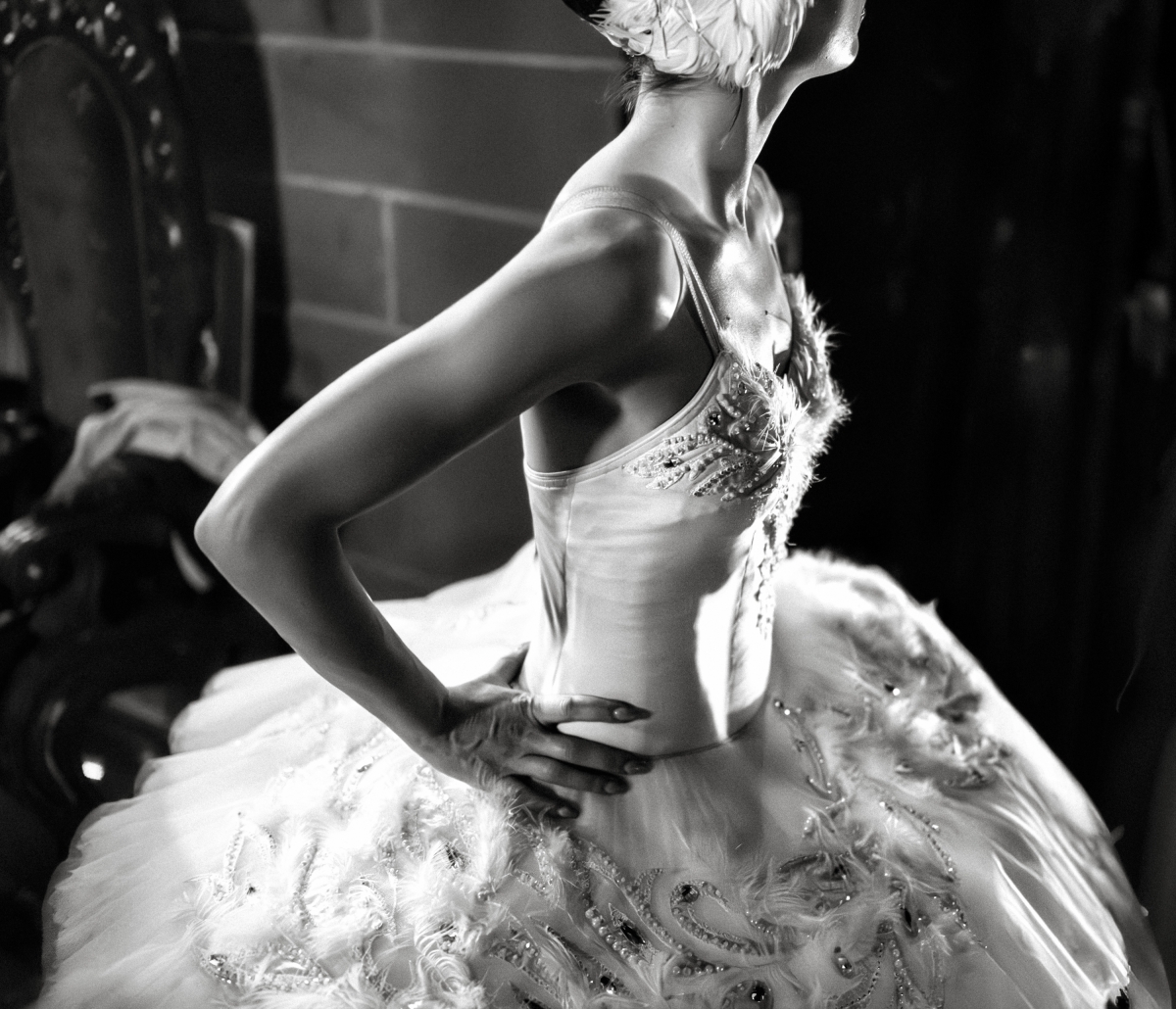 From the Series ‘Swan’ 