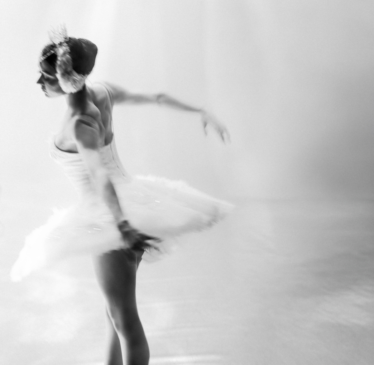 From the Series ‘Swan’ 