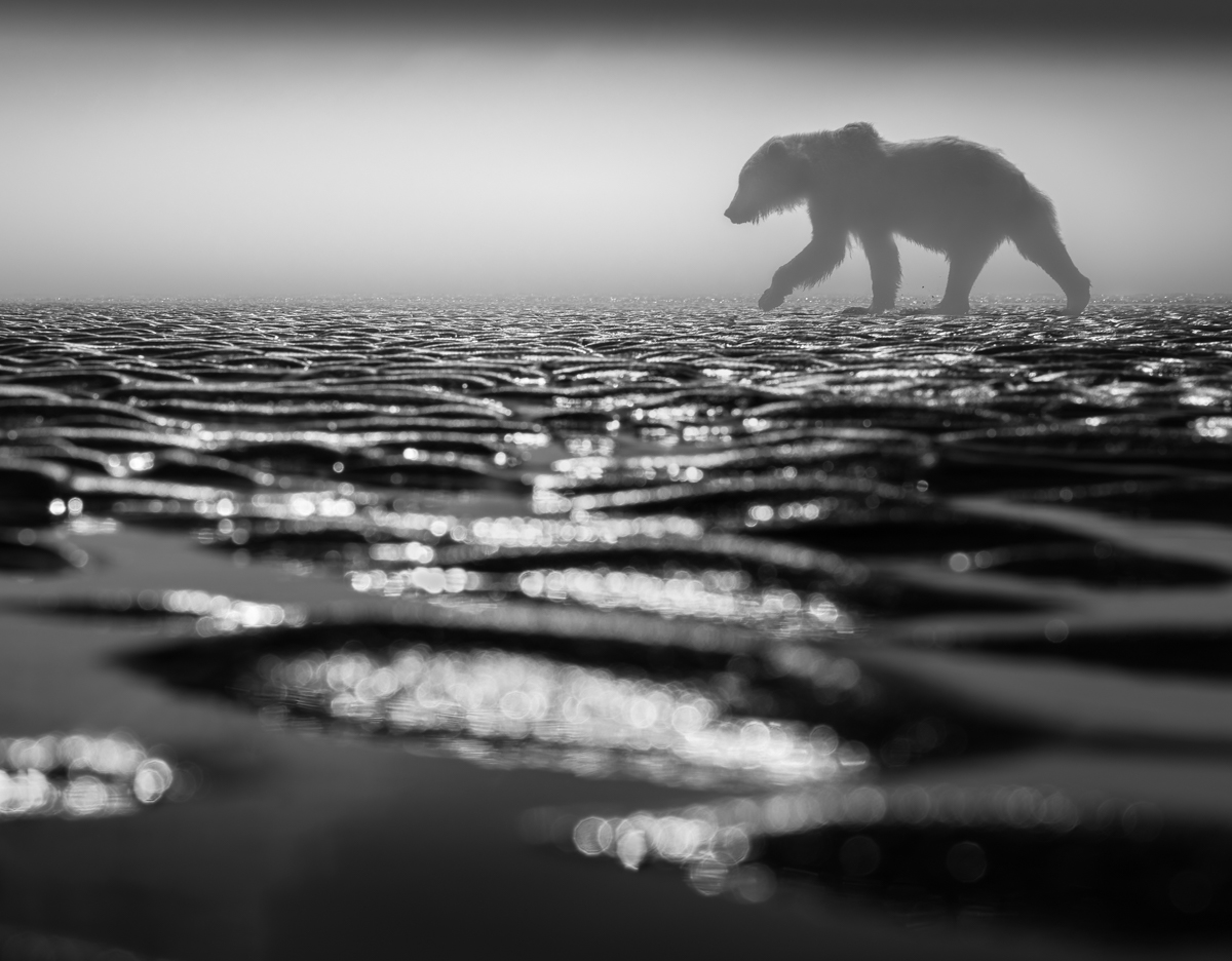 Walking on Liquid Diamonds