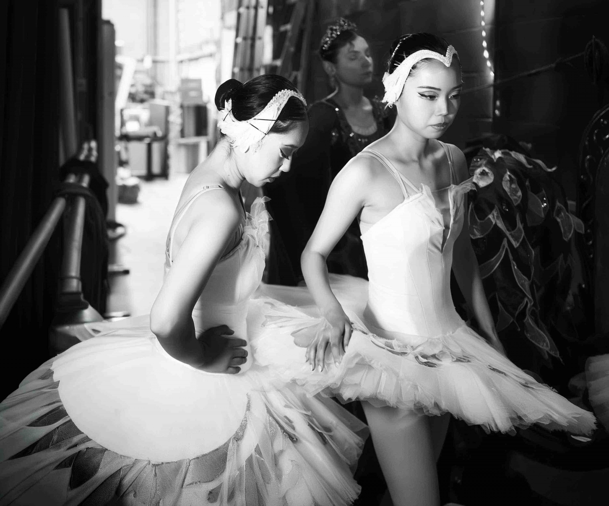 From the Series ‘Swan’ 