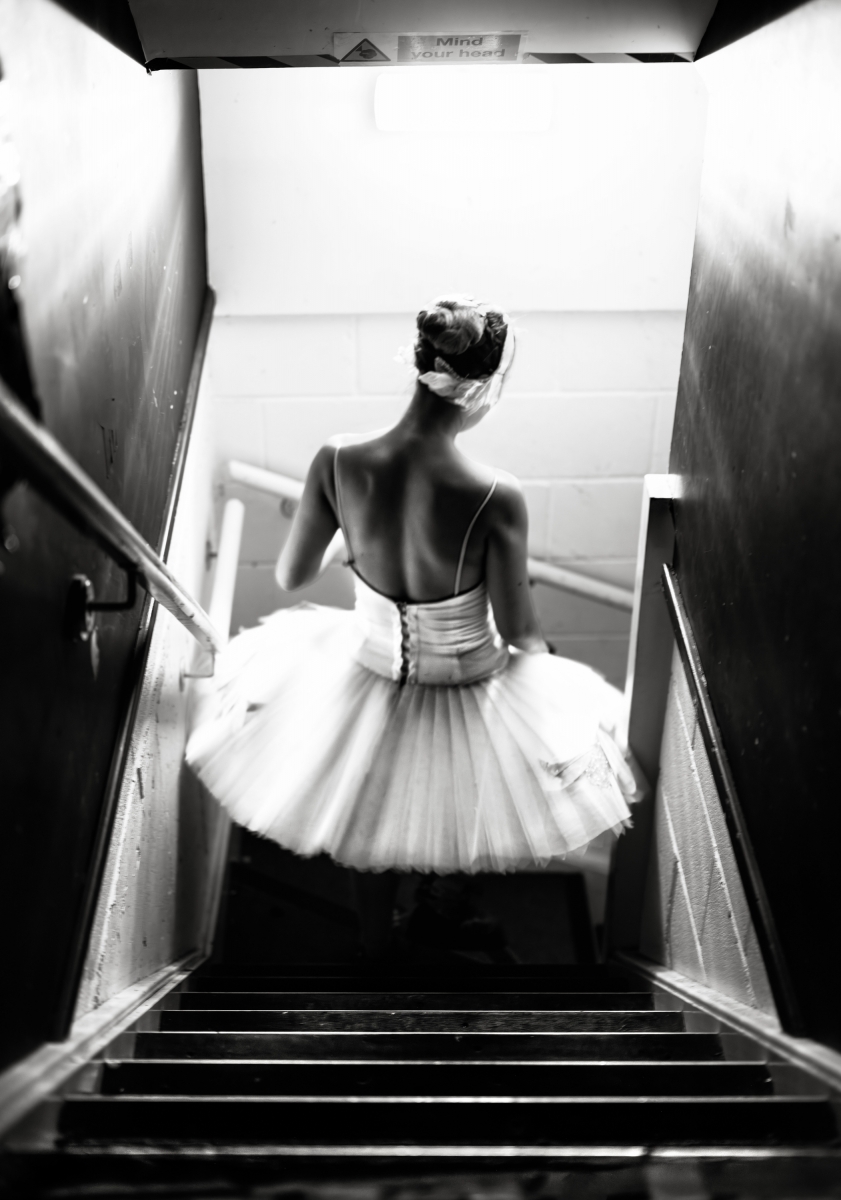 From the Series ‘Swan’ 