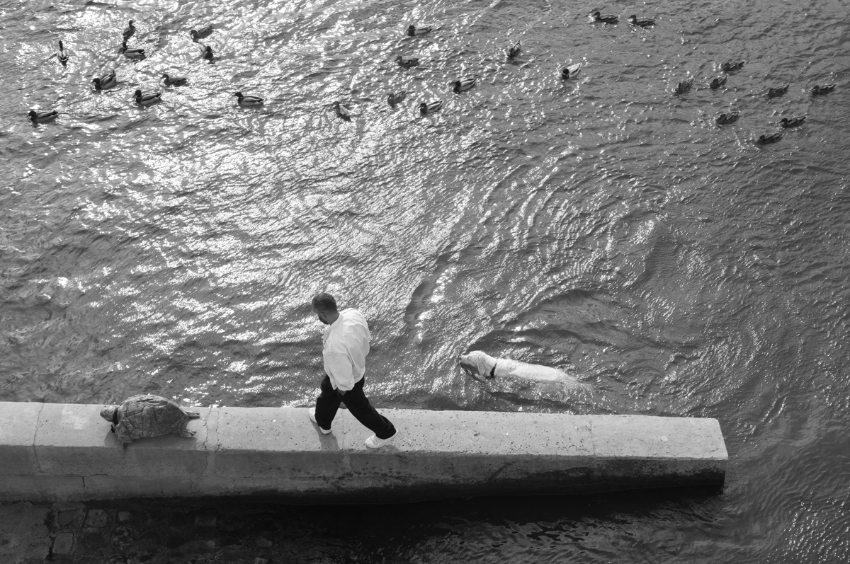 Strange Days
