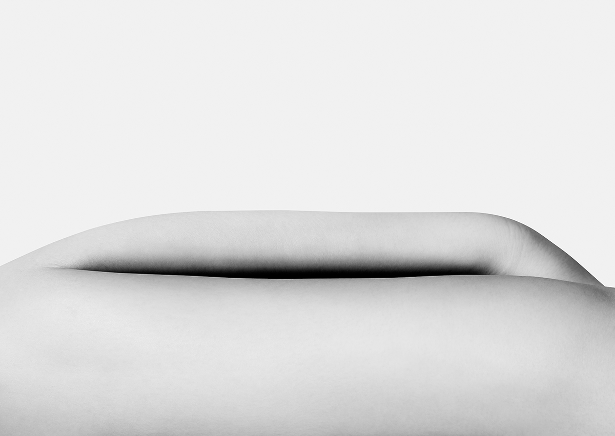 Timeless Lines