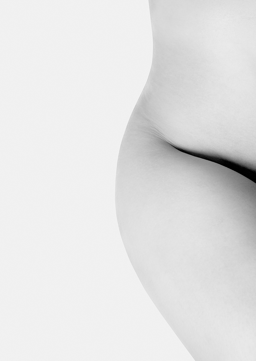 Timeless Lines