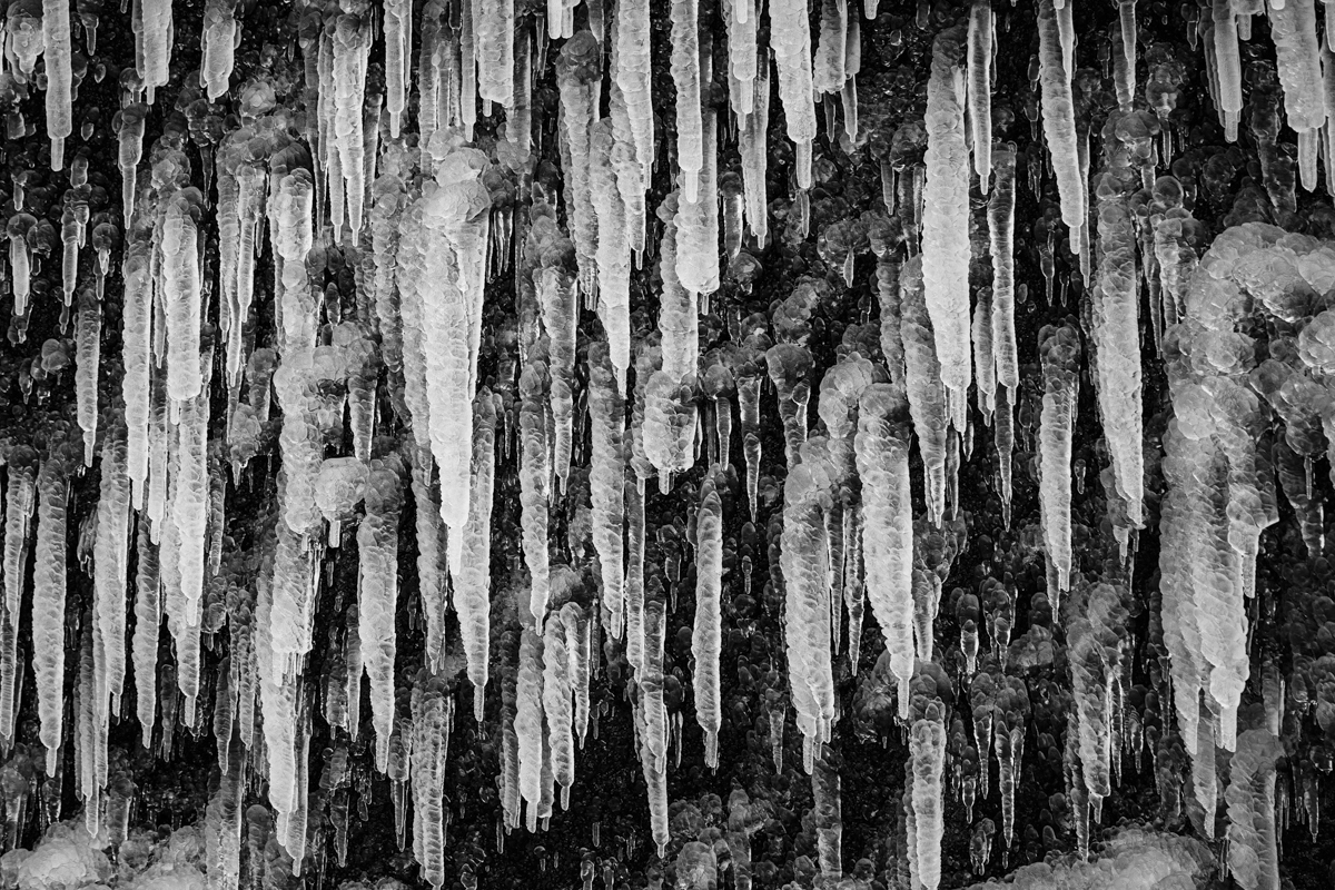 Frozen Skogar