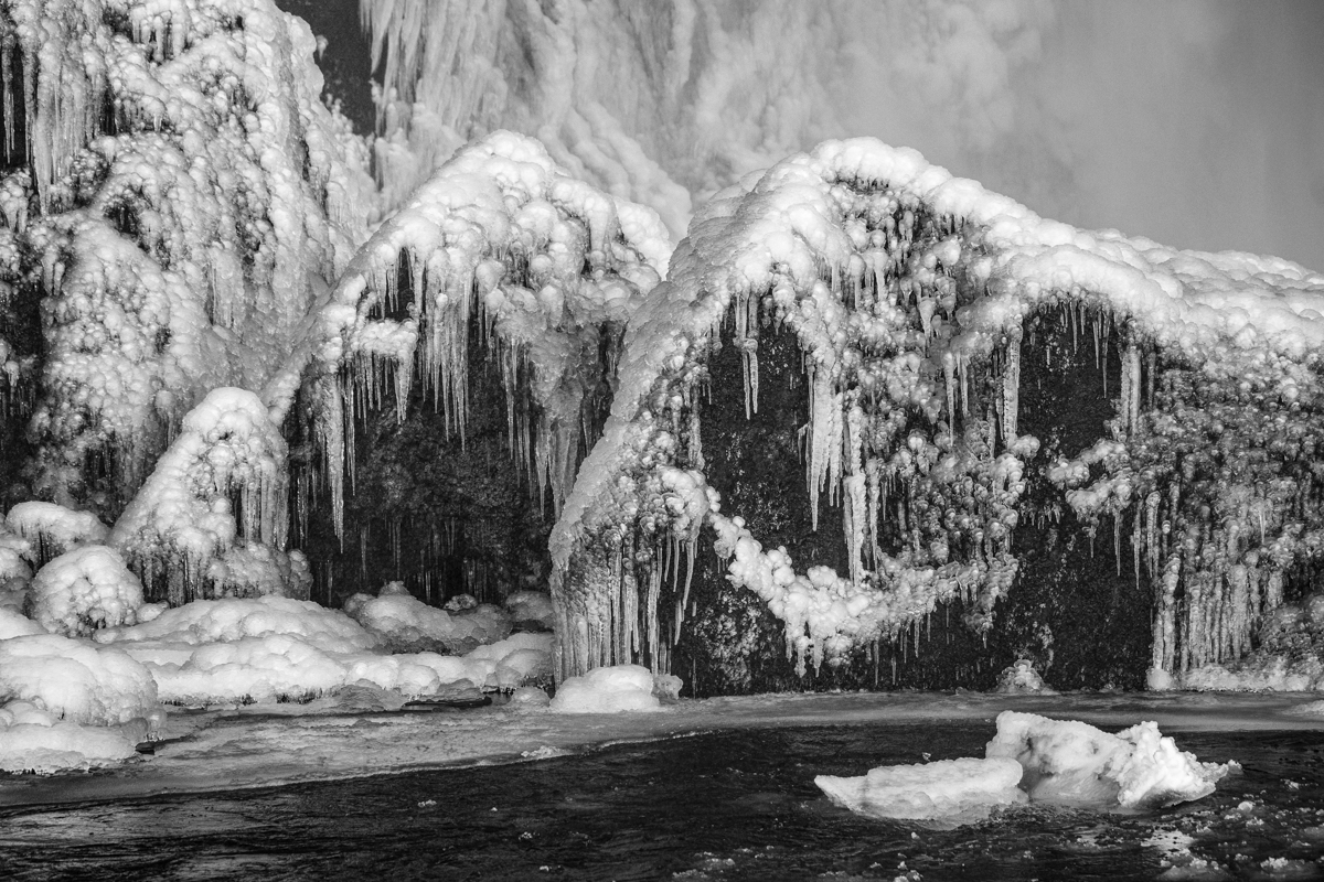 Frozen Skogar