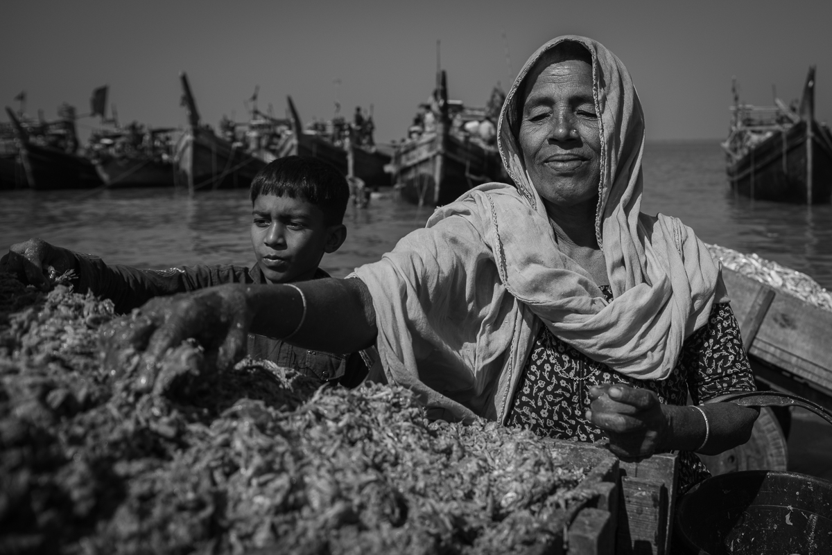 Faces of Resilience