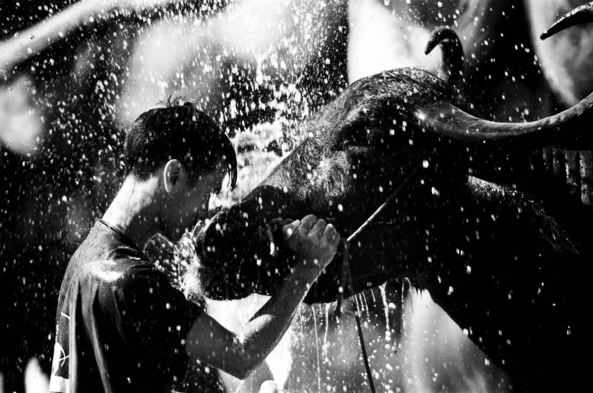 Of Water and Belief