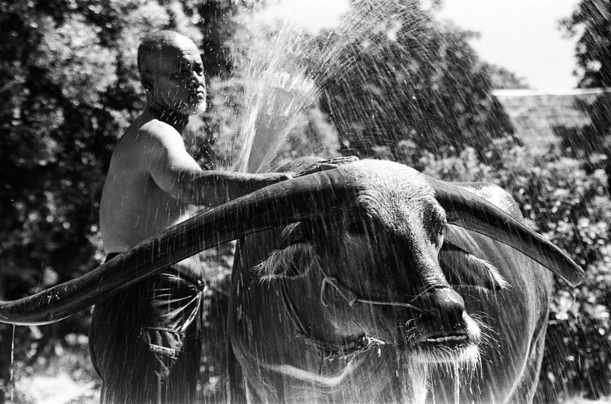 Of Water and Belief