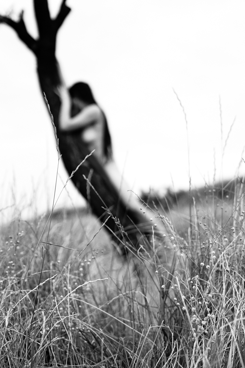 Where the Body Dissolves